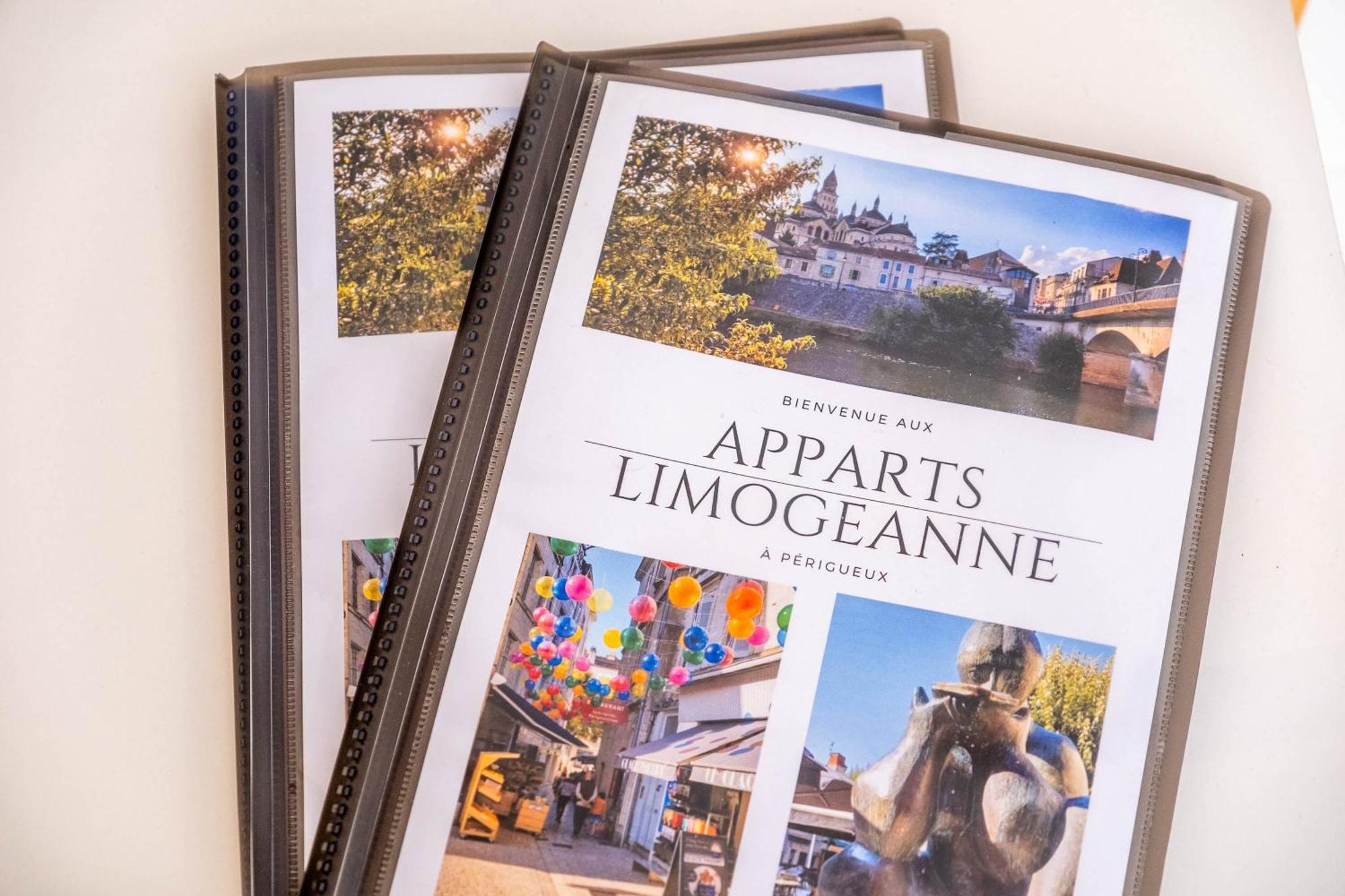 Apparts Limogeanne - Clim - Centre Historique ペリグー エクステリア 写真